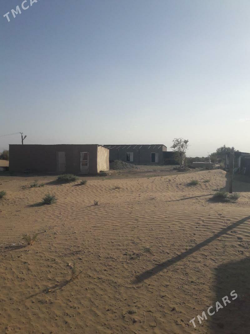 Satlyk jay - Ак-Бугдайский этрап - img 5