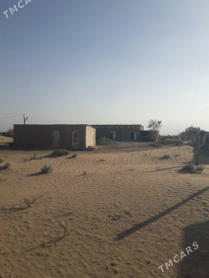 Satlyk jay - Ак-Бугдайский этрап - img 4