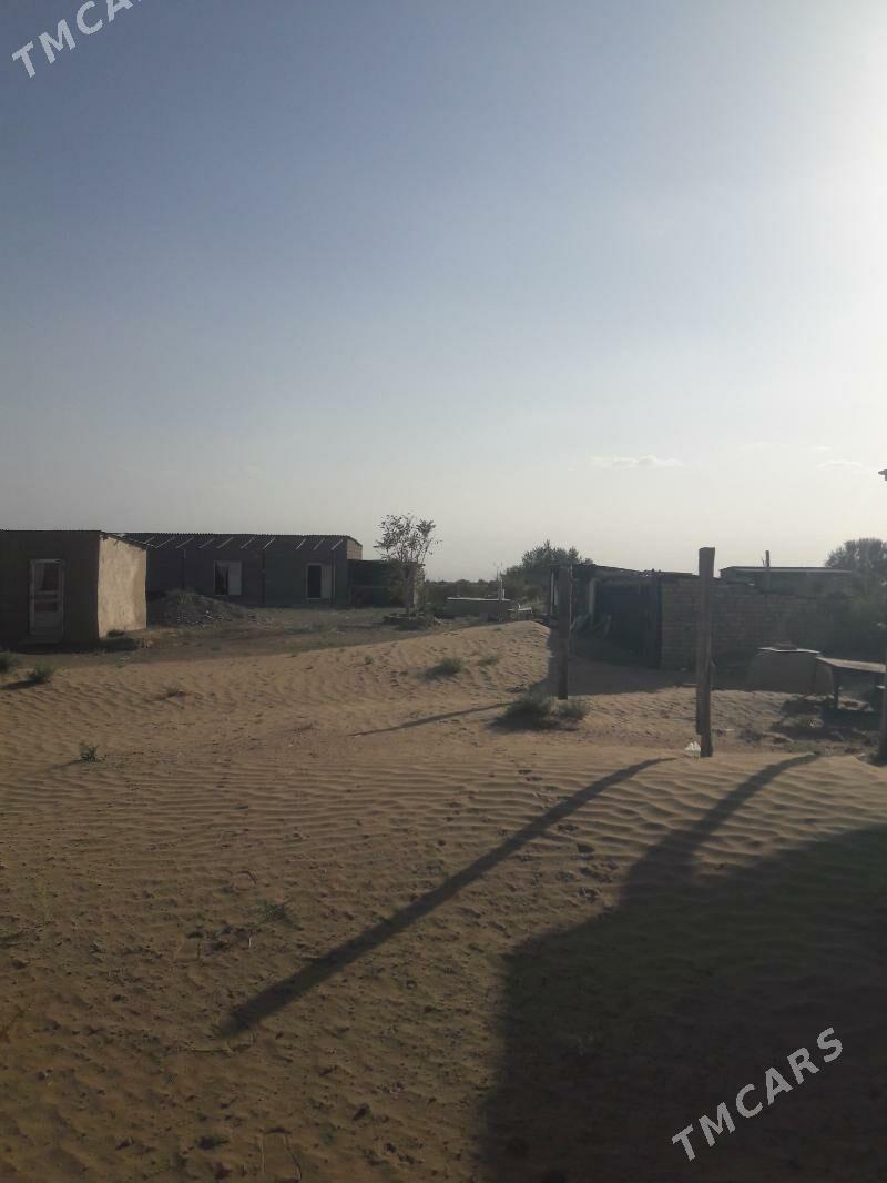 Satlyk jay - Ак-Бугдайский этрап - img 2