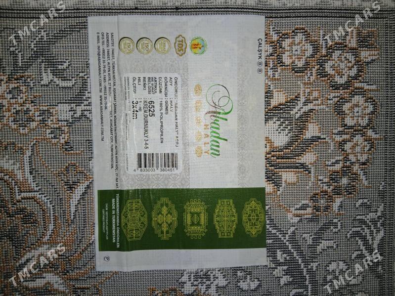 haly - Köşi - img 3