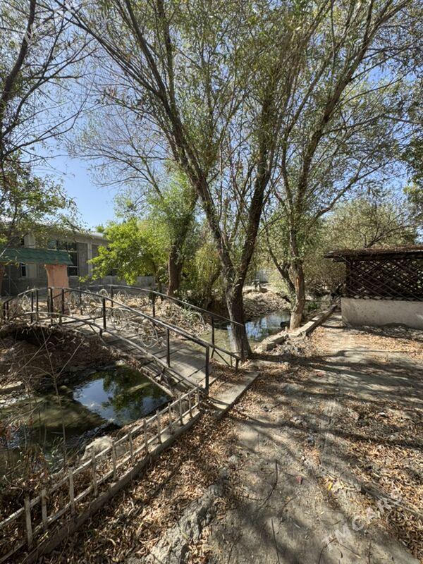 Bagyr Çeşmäň boýy - Bagyr - img 4