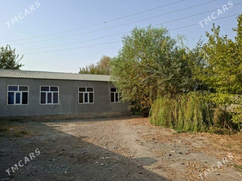 Bagyr Çeşmäň boýy - Bagyr - img 2