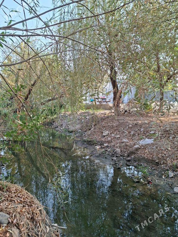 Bagyr Çeşmäň boýy - Bagyr - img 3