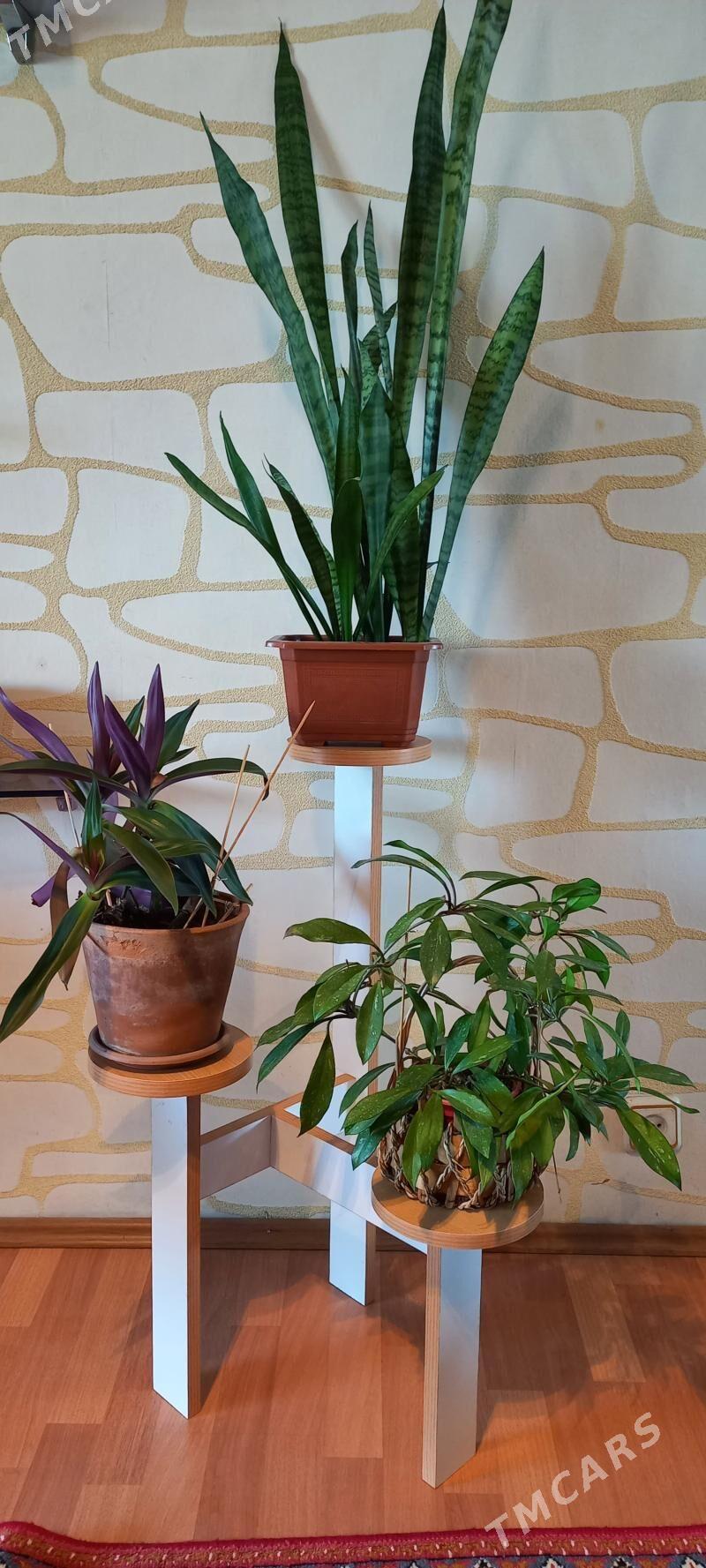 подставки полки - Aşgabat - img 8