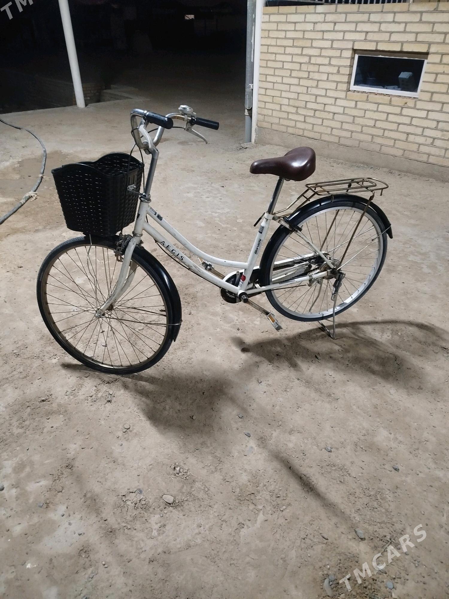 Welik tiger 26lyk - Mary - img 1