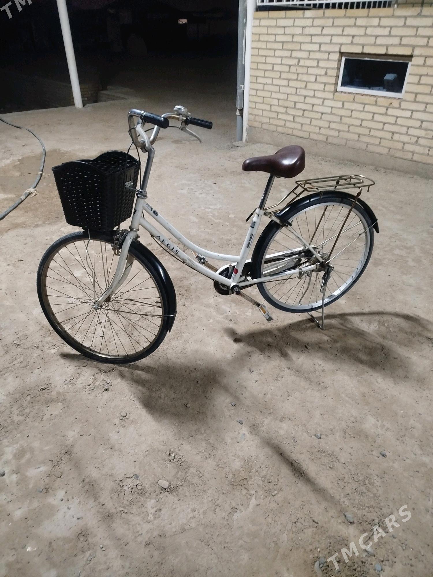 Welik tiger 26lyk - Mary - img 3