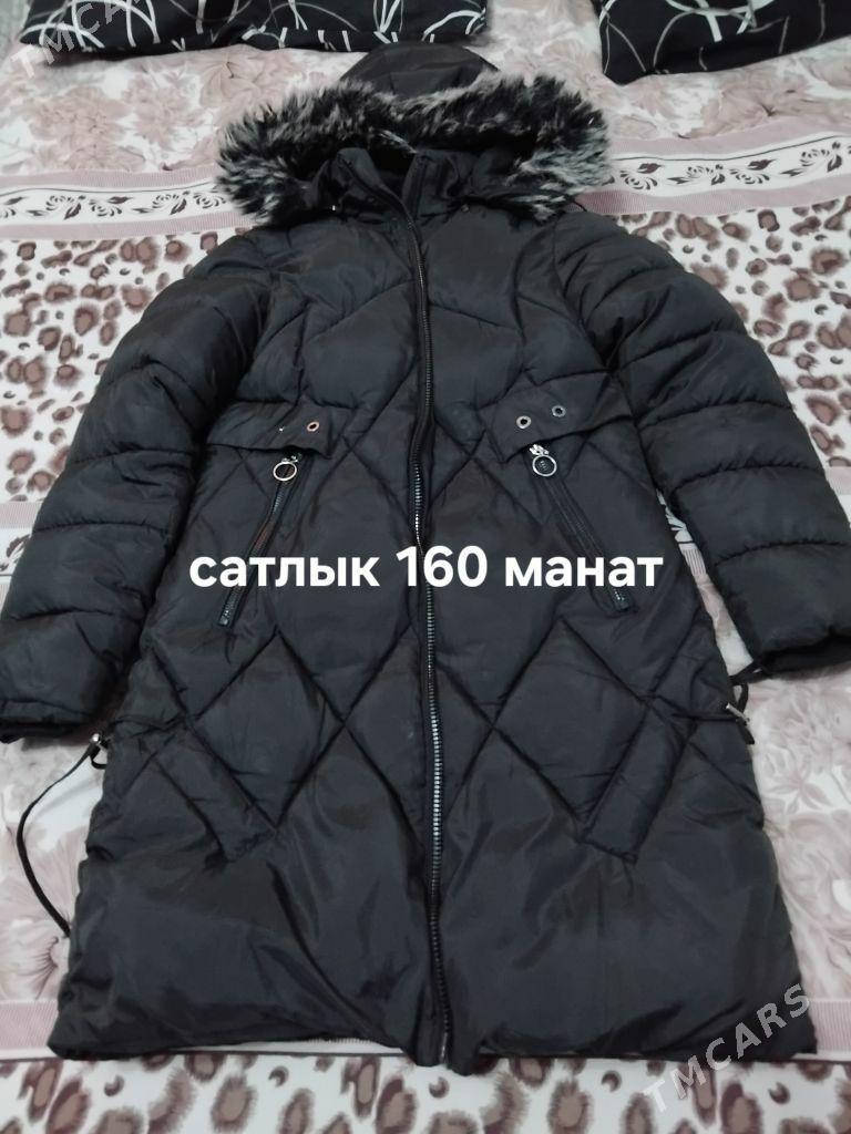 Kurtga we Şuba - Murgap - img 1