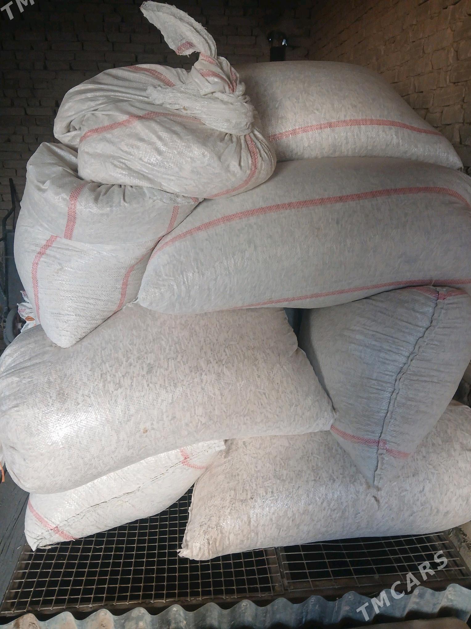 AK çigit - Daşoguz - img 2