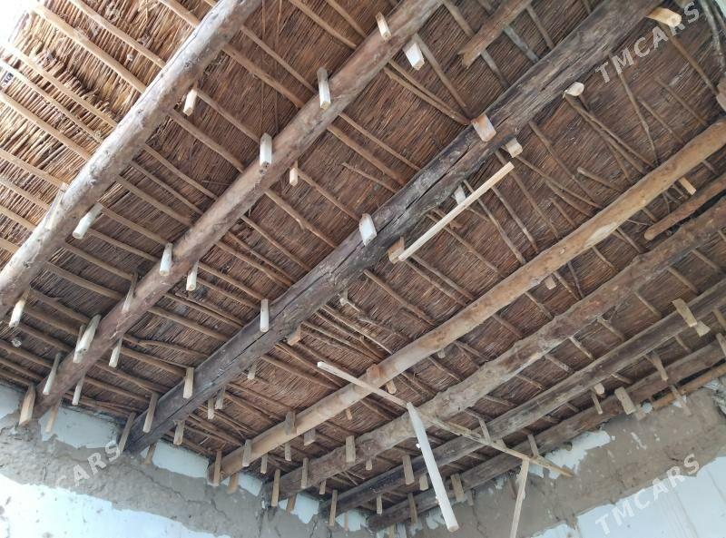 agaç - Кёнеургенч - img 1