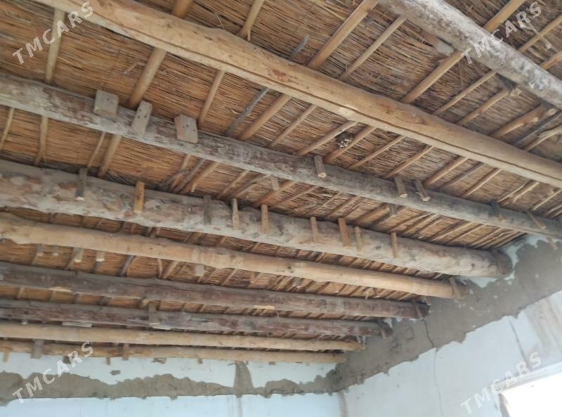 agaç - Кёнеургенч - img 2