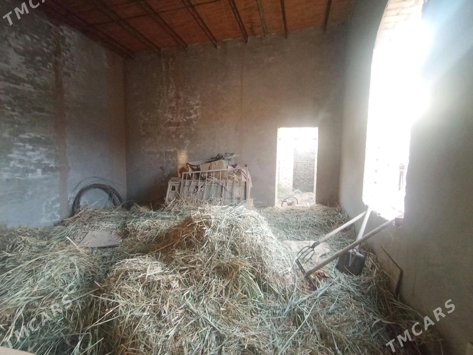 Ховлы жай - Türkmenabat - img 8