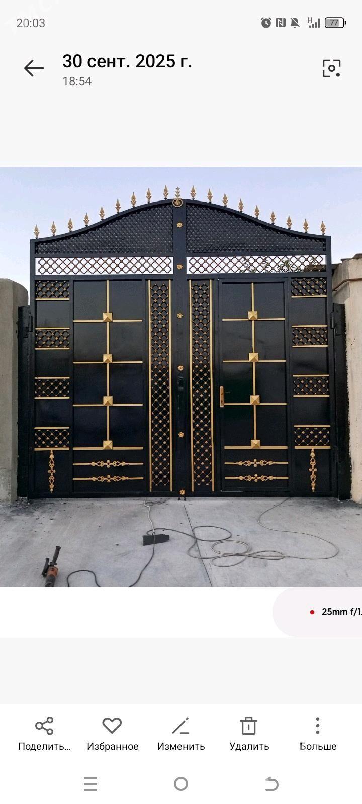 warata demir derweze - Багир - img 2