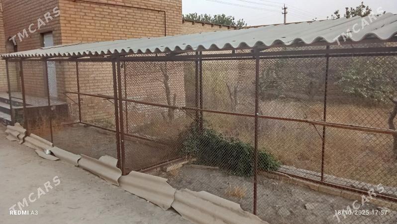 Towuk ketekler - Керки - img 2