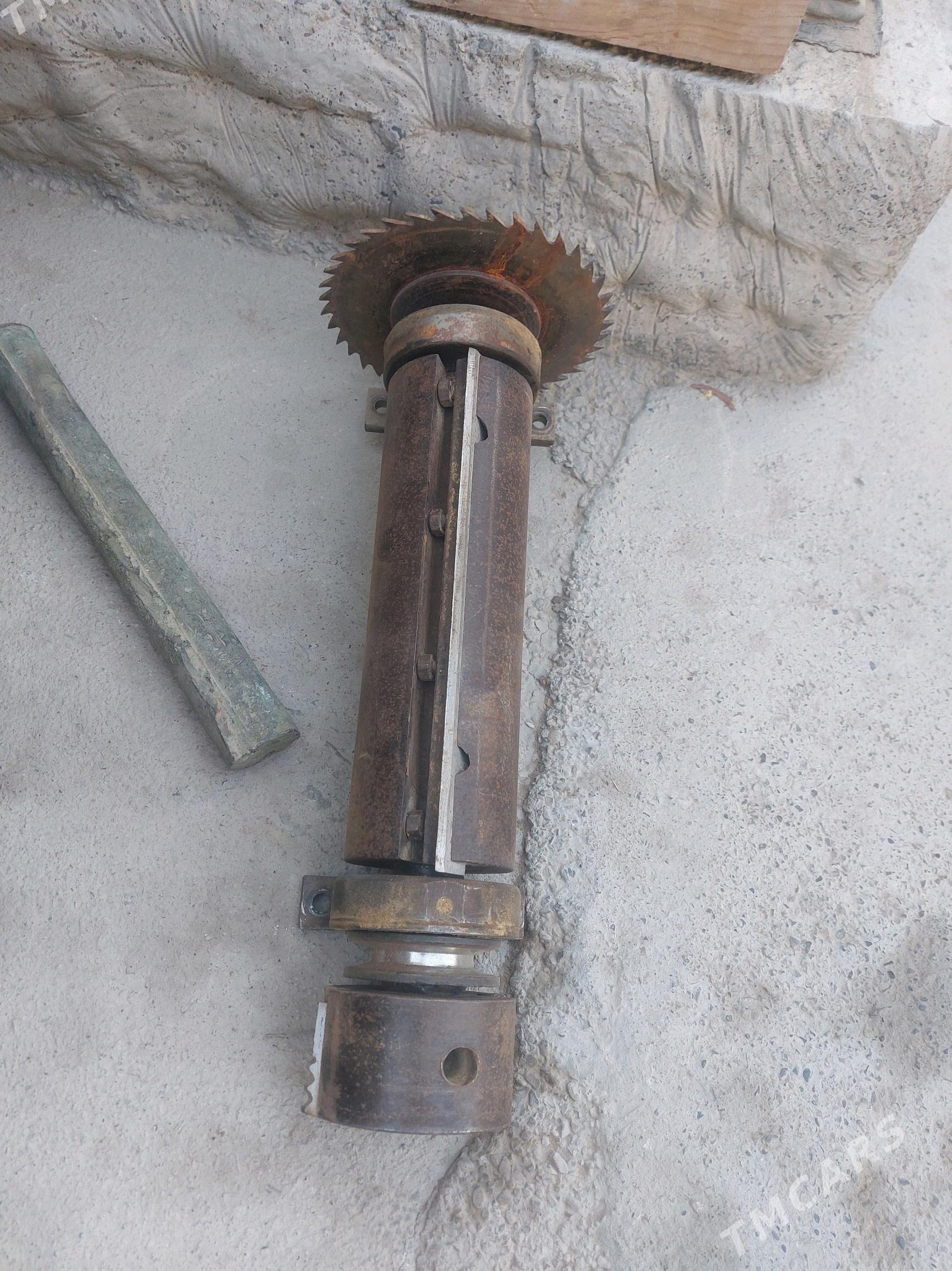 agac stanogyn waly вал - Mary - img 2