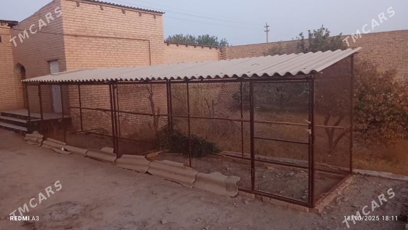 Towuk ketekler - Керки - img 5