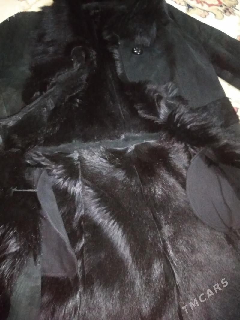 palto - Türkmenabat - img 3