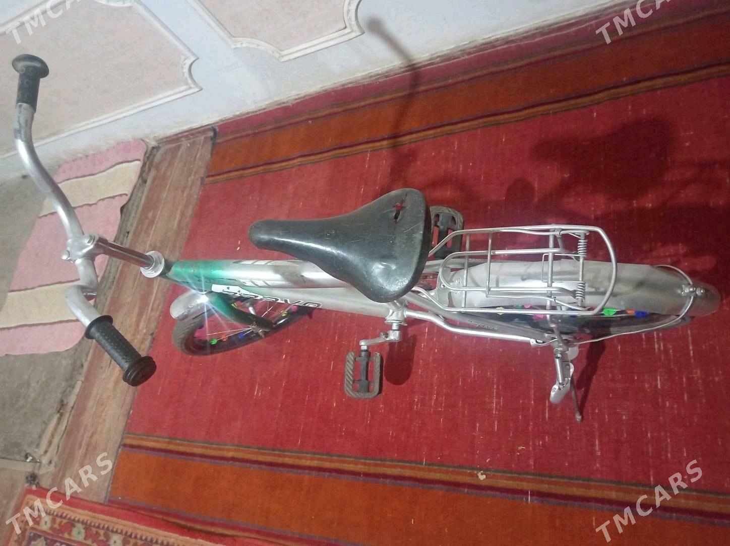 Welsepet 16lyk - Дашогуз - img 3