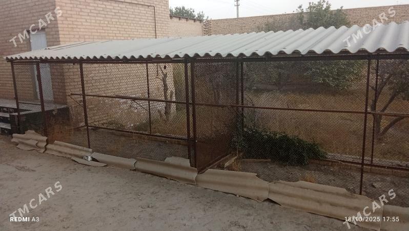 Towuk ketekler - Керки - img 6