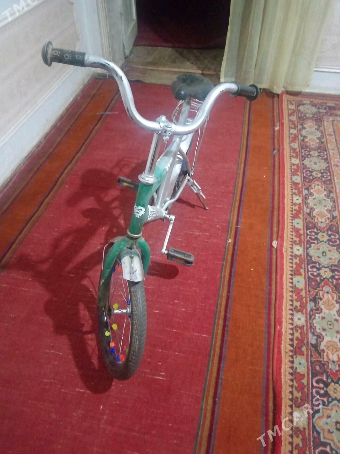 Welsepet 16lyk - Дашогуз - img 1