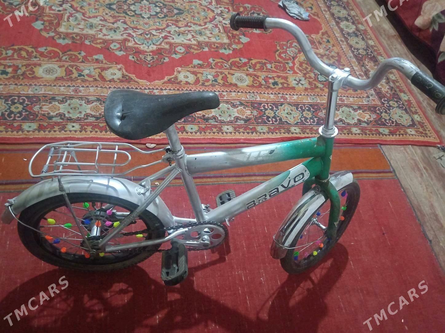 Welsepet 16lyk - Дашогуз - img 2