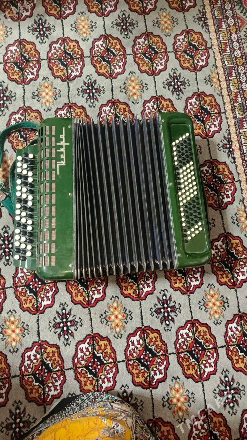 Баян искра - Ак-Бугдайский этрап - img 1