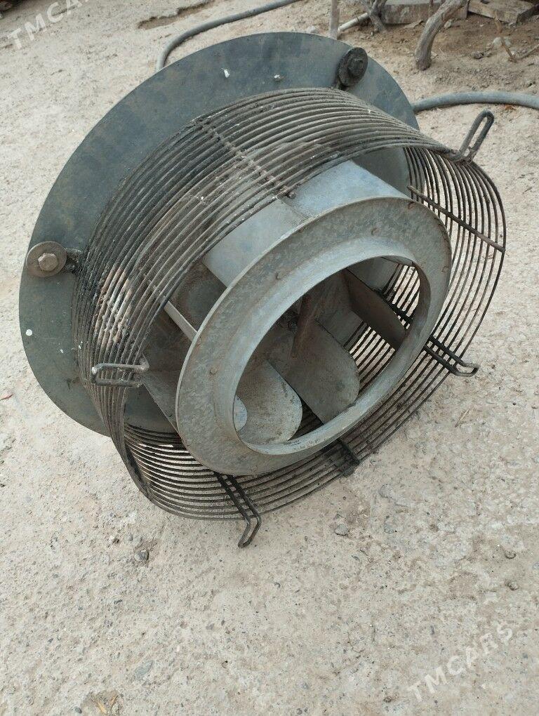 WITCKA DYMAHOT ULTKA - Garadamak - img 1