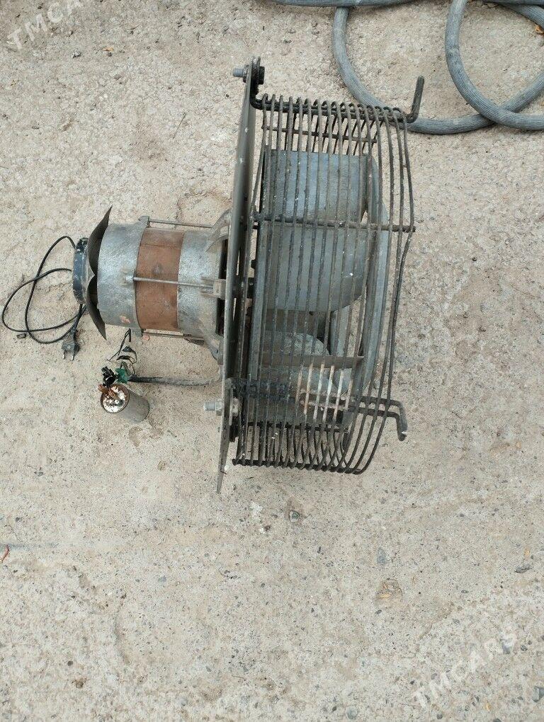 WITCKA DYMAHOT ULTKA - Garadamak - img 4