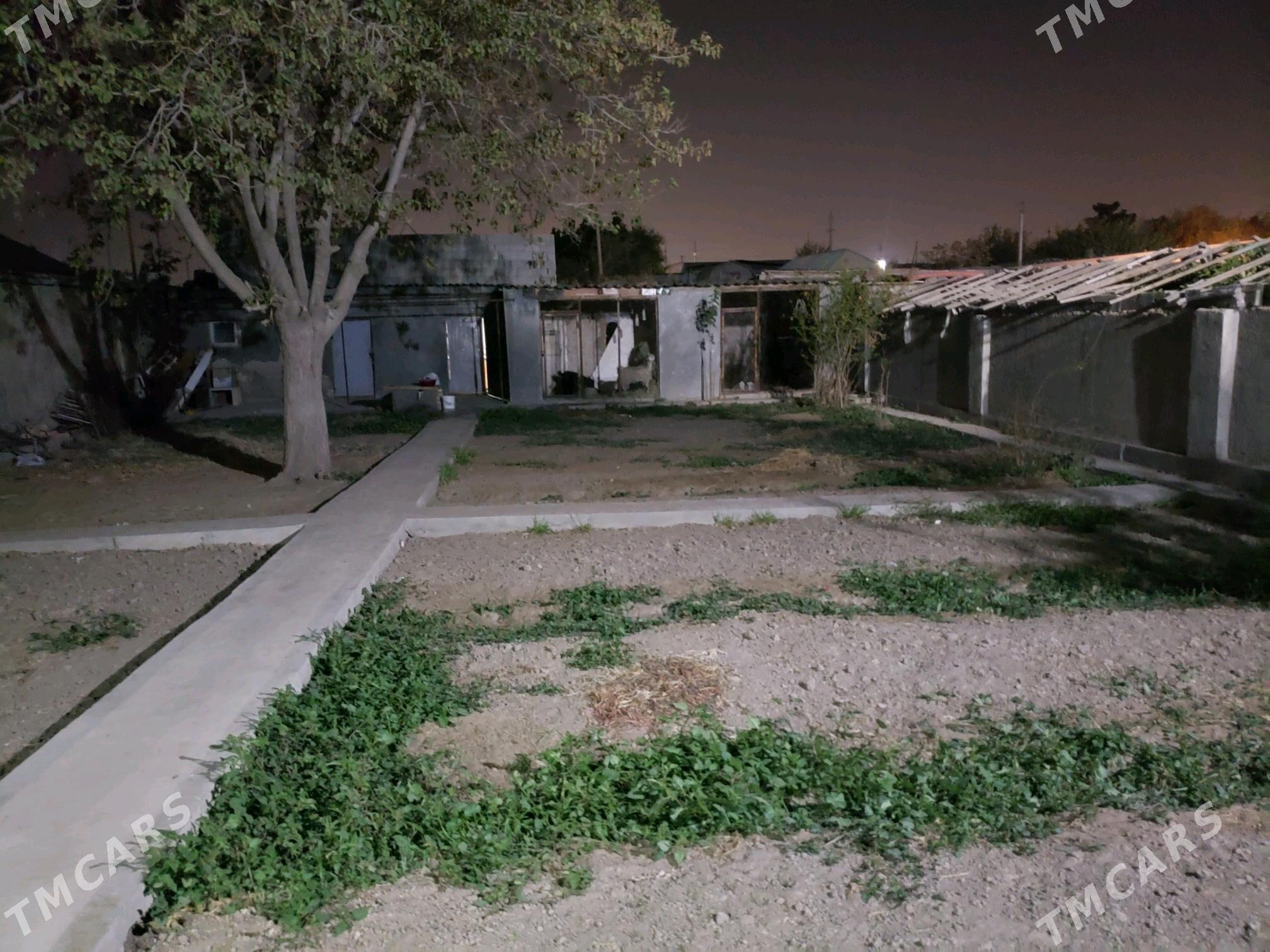 jay - Анев - img 2