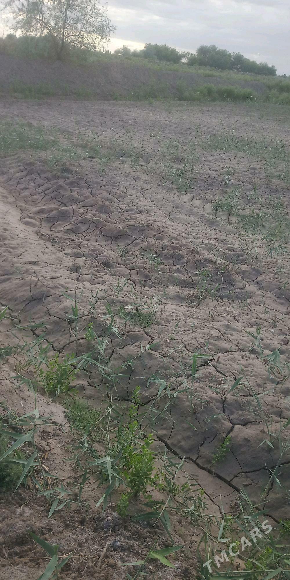 jay orun - Болдумсаз - img 4