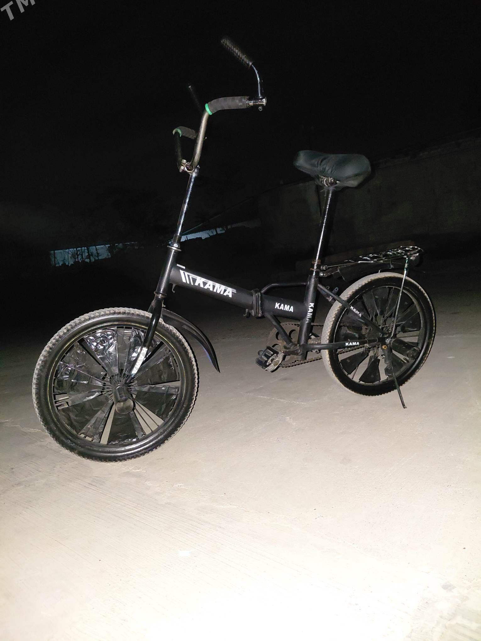 TIGIR - Garadamak Şor - img 3