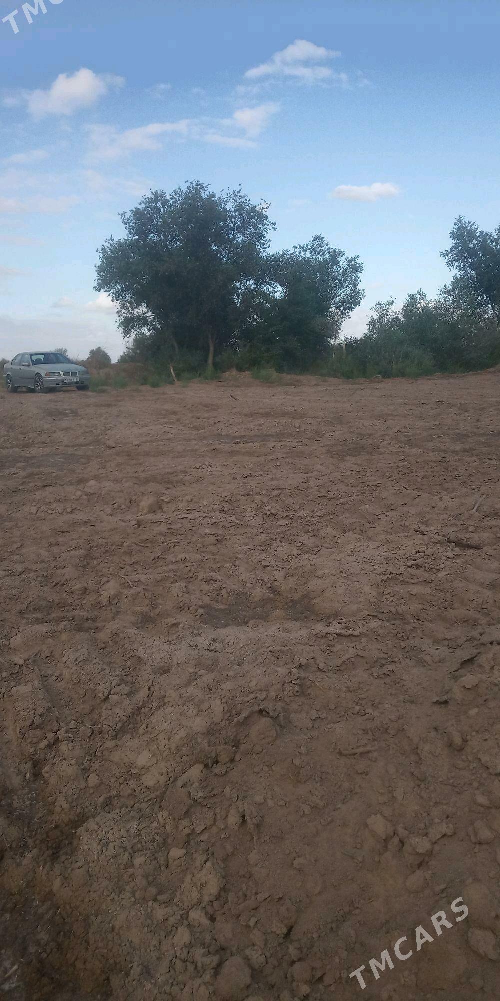 jay orun - Болдумсаз - img 2