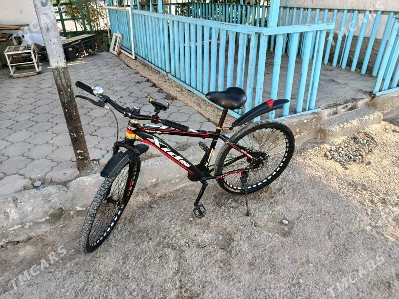 Tigir - Büzmeýin - img 2