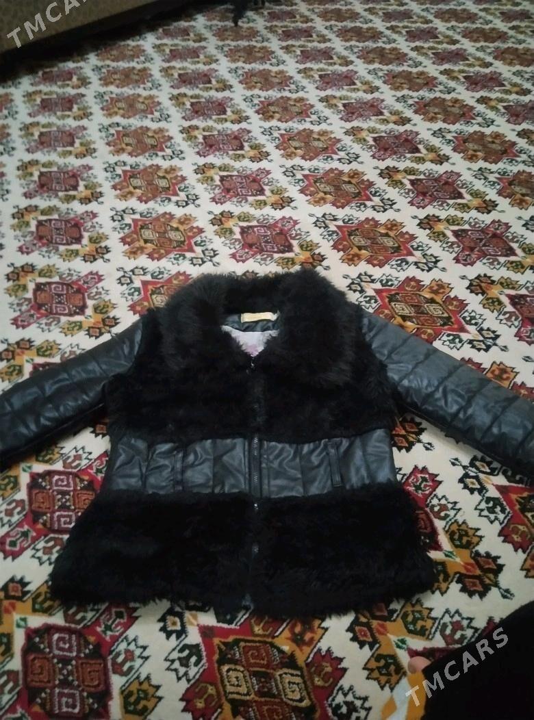 kurtga - Daşoguz - img 1