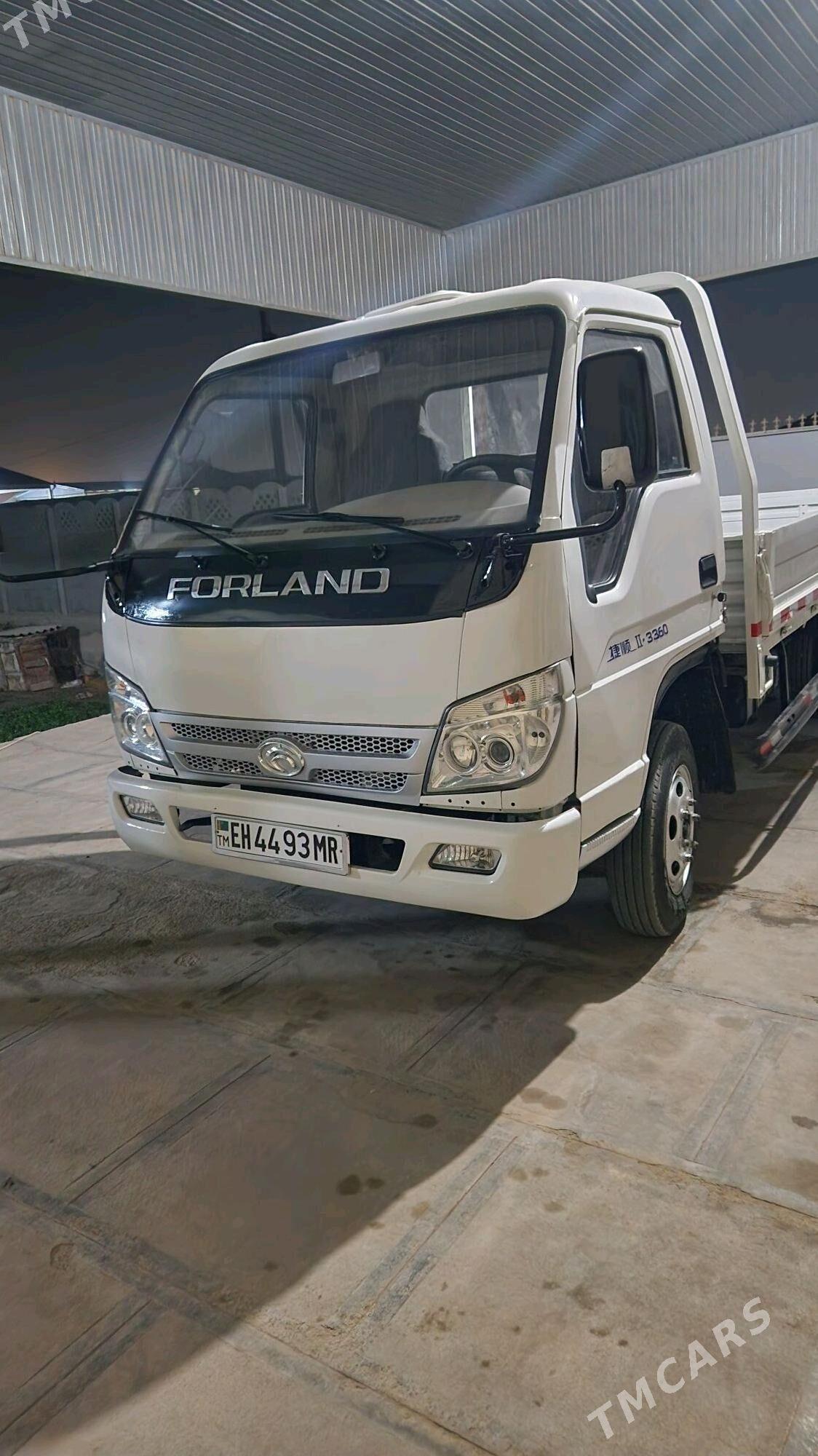 Forland H3 2012 - 150 000 TMT - Mary - img 4