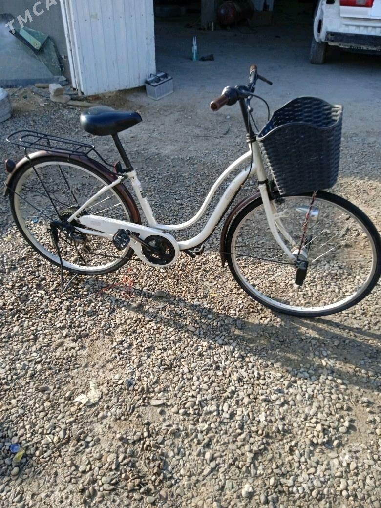 Welik - Mary - img 1