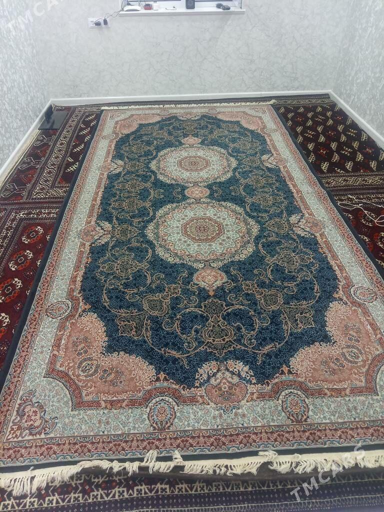 Haly - Balkanabat - img 2