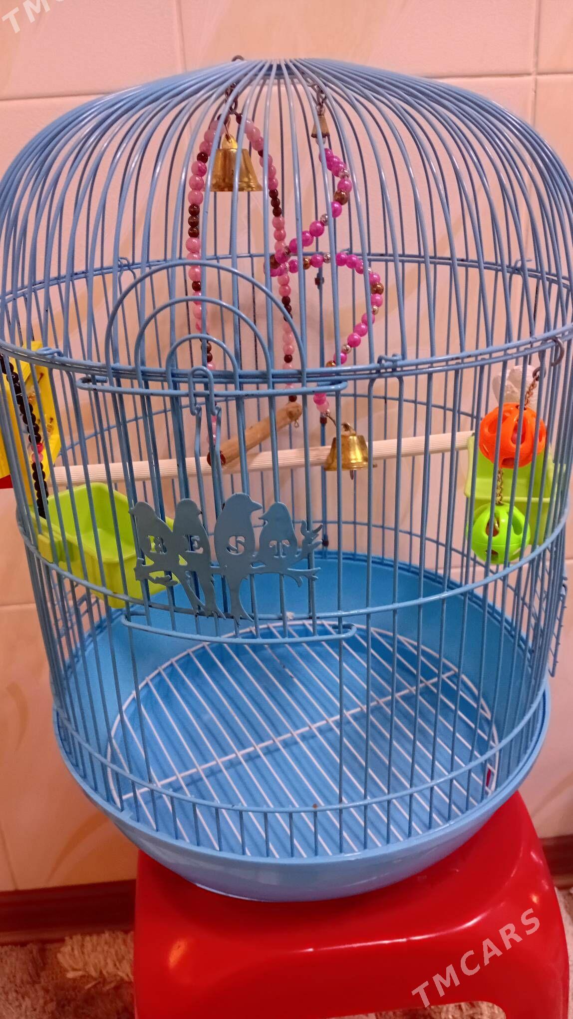 Клетка для попугая - Туркменабат - img 1