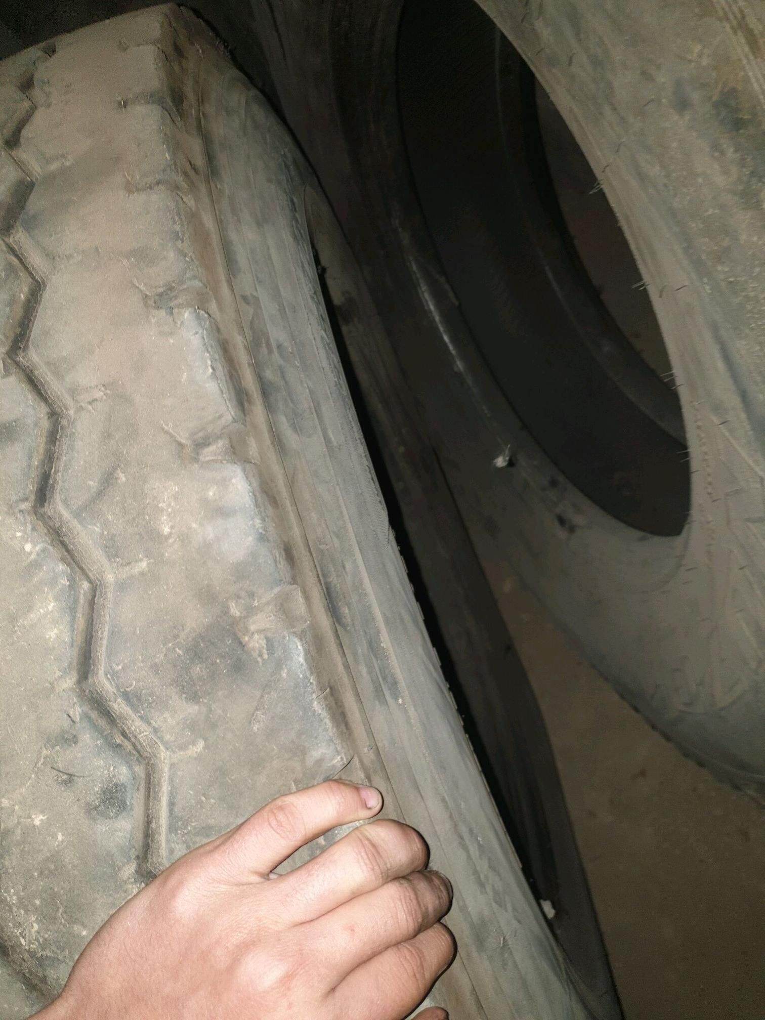 tiger 600 TMT - Baýramaly - img 1