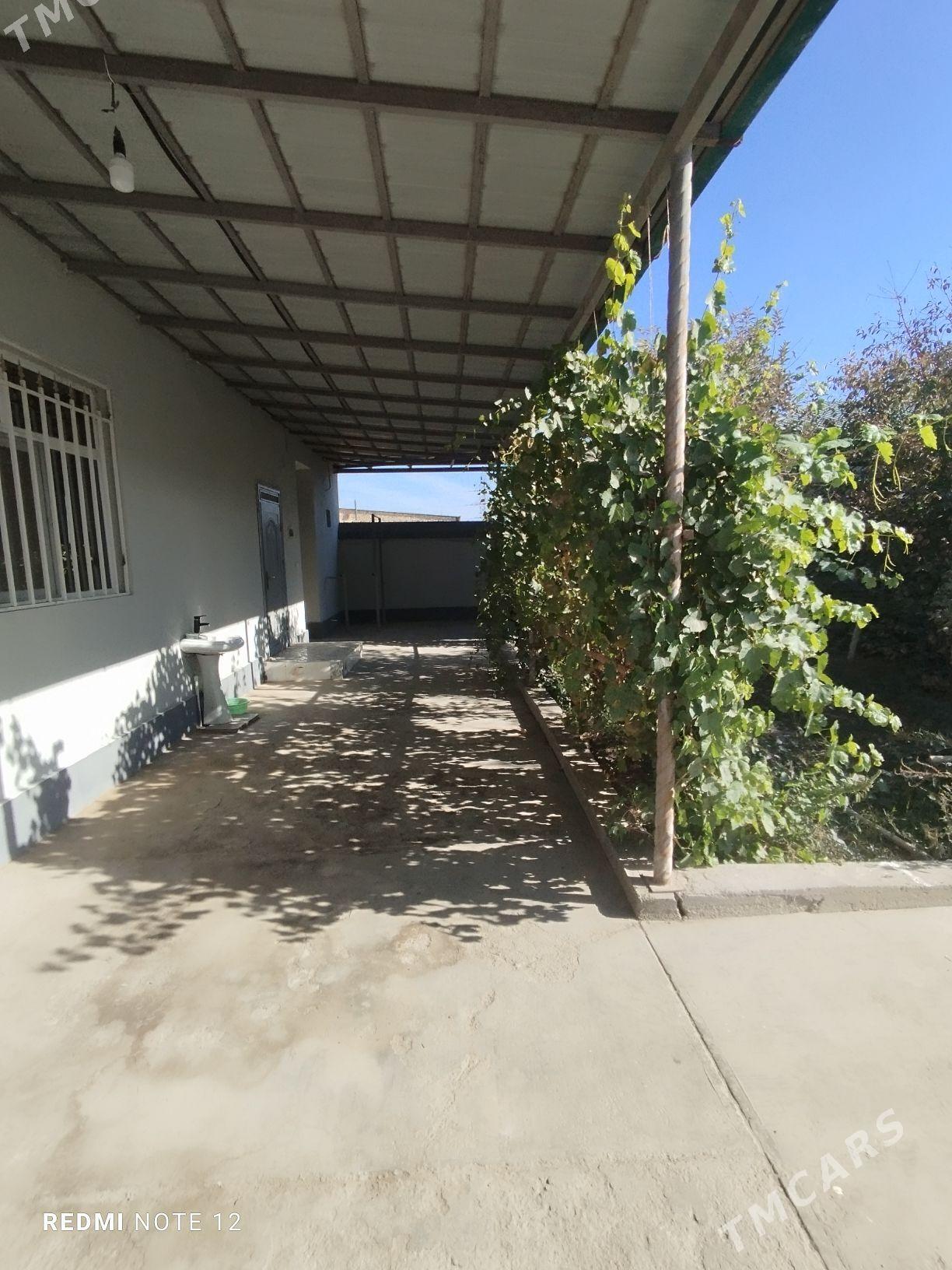 satlyk jay - Дашогуз - img 5