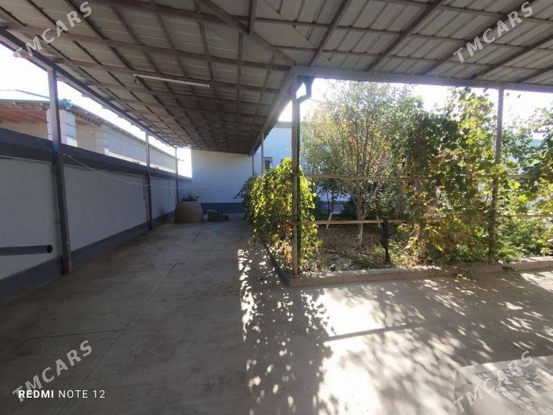 satlyk jay - Дашогуз - img 9