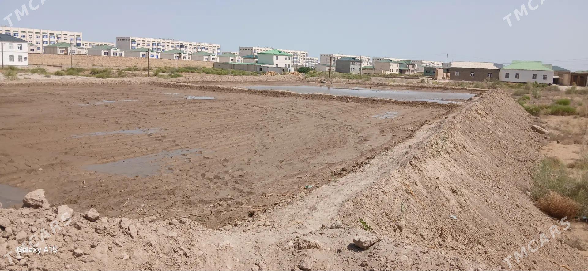 Taýýar mellek - Туркменабат - img 5