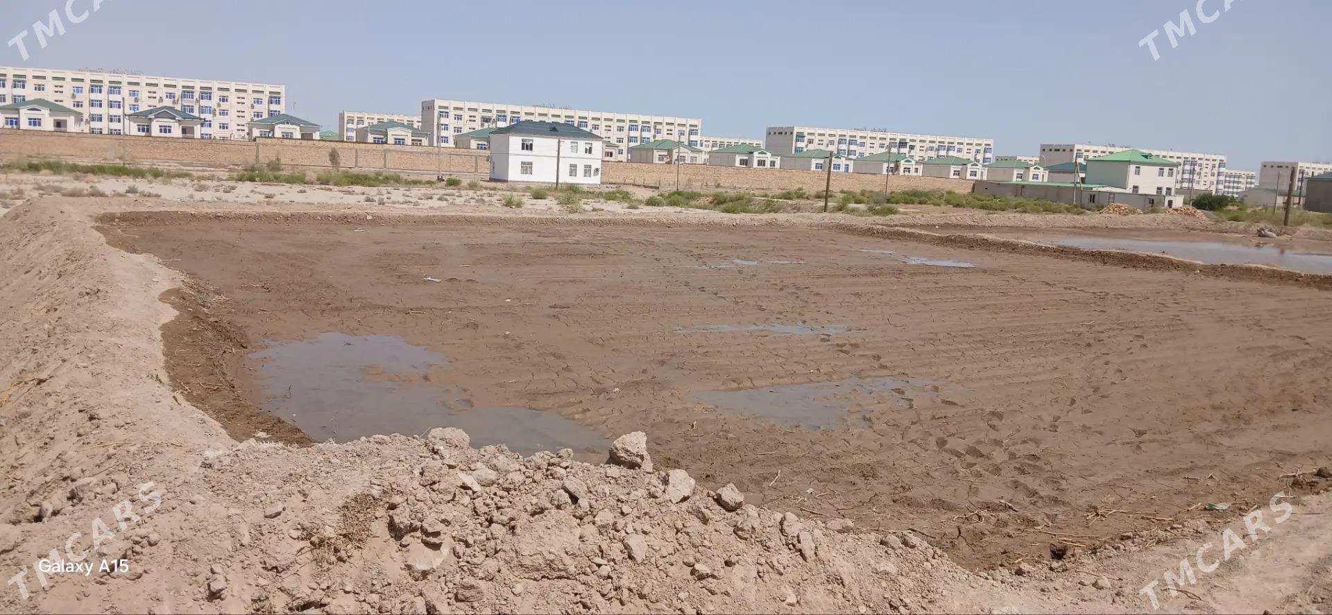 Taýýar mellek - Туркменабат - img 3