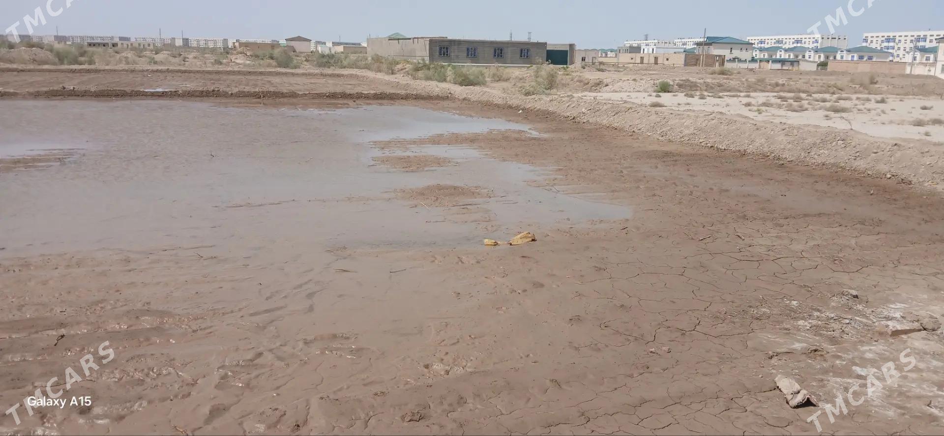 Taýýar mellek - Туркменабат - img 2