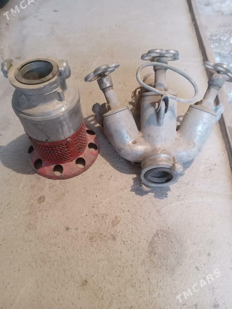 Krant krant - Tejen - img 2