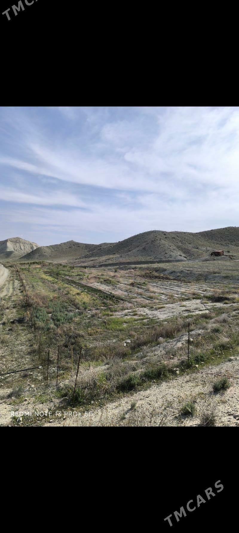 satlyk yer - Magtymguly - img 4