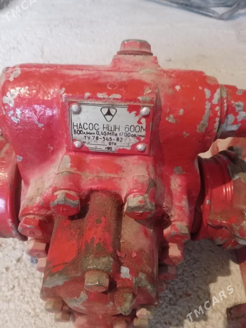 Suw nasos - Теджен - img 3