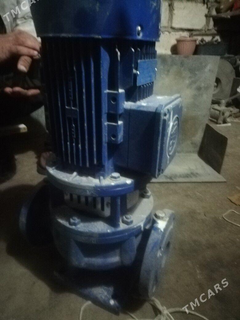 nosos - Gumdag - img 1