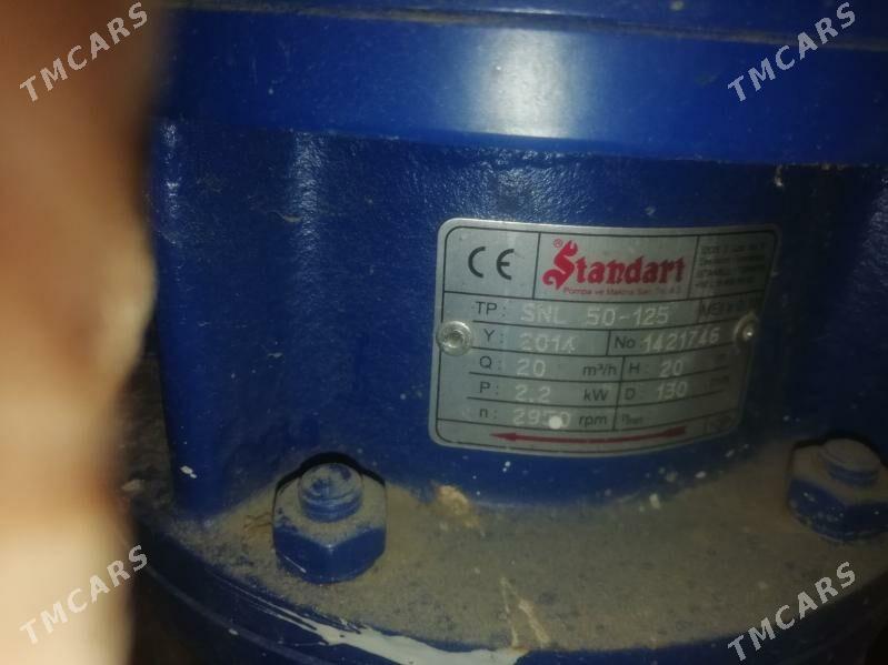 nosos - Gumdag - img 3