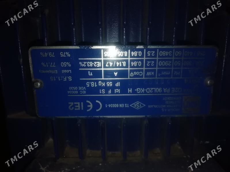 nosos - Gumdag - img 2