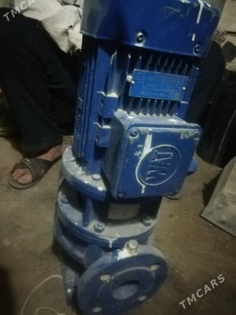 nosos - Gumdag - img 4